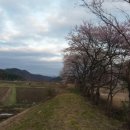 관정1리 이미지