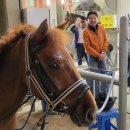 금암2리마을회관 이미지