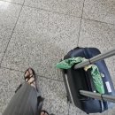(합)하나로택시 | [방콕/1일차] 방콕 도착/짜뚜짝 시장/로하 쁘라삿/팁사마이/시립도서관/카오산로드