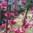 강변로길 이미지