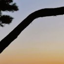 종로-종로-종로-종-137 이미지