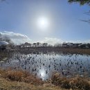 지리산쌍계한의원 이미지