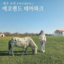에코 힐링 하우스 2 | ""제주 조천 자연속에서 기차타고 힐링하는 "에코랜드 테마파크"
