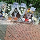 서현역.서현고가차도 이미지