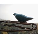 장안구청 이미지