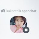 인셀덤 코코 네이버블로그