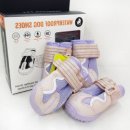 퍼플댕댕 이미지