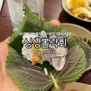 대구장기동우체국 | 대구 달서구 뽈락세꼬시 맛집 싱싱뽈락회 장기직영점