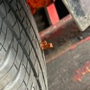 성주로269번길 이미지