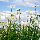 정우영한의원 이미지