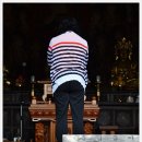 영풍 태장리 느티나무 | [추석여행 안동] 우리나라에서 가장오래된 목조건물~ !!! &#34;안동 봉정사의 극락전&#34;
