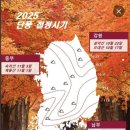 2025년 전국 단풍 절정시기 이미지