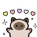 다루동물병원 이미지