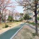 올리브공인중개사사무소 이미지