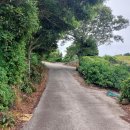 고성리-12 이미지