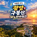 31/~3/2027년 새해소망 선상일출과 욕지도 1004섬 애기동백꽃 마이다스의손 이미지