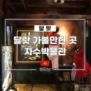 정원 꽃을 수 놓는 프랑스자수 | 달랏 가볼만한 곳 자수박물관 입장료 및 방문 후기