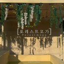 해걸음 1067펜션 | [내돈내산]이천 테르메덴 근처 독채펜션 포레스트모가 추천 솔직후기 자쿠지 핀란드사우나 노래방 조식까지