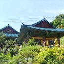 삼락정사 티스토리