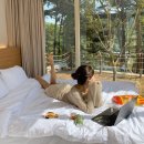 정 | 팔팔정 처방 후기 남겨봅니다.