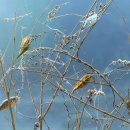 함평자연생태공원 이미지