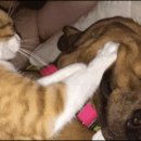 드림안마시술소 이미지