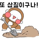 초계시장 이미지