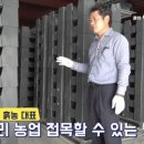 남원곤충