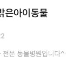 분당밝은아이동물병원