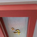 구구닭발 이미지