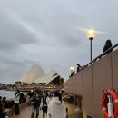 마트앤마트(공) | 호주 시드니 여행] 5박7일 1일차 &lt;울월스마트, 초바니요거트, 젯스타항공후기, 넘버원마라탕, 메시나...