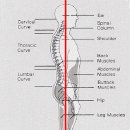 레시핏 낙성대점 이미지