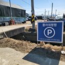 대동농장 | [김해/대동] 플라워팜팜 튤립수확체험. 실내 꽃농장에서 겨울 이색체험 즐기기. (주차/체험료)