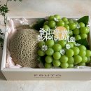 메이팜스 이미지