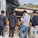 창녕동애등에 이미지