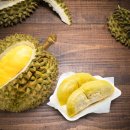 두리안 이미지