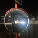 (주)이오투어 | [상해] 2박3일이지만 2일인 여행 - 왕홍체험 죽간묵 //오리투어 후기