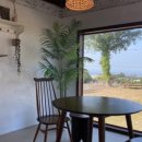 솔지카페 이미지