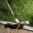 02_22.08.(5) 끝과 시작
