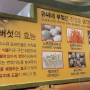 유씨네 이미지
