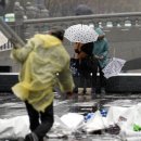 ‘태풍급 강풍’… 선박 좌초·항공기 결항 잇따라 이미지