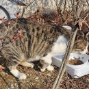 감전세차장 | happy new year