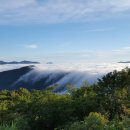 낙동정맥18(배내고개~간월산~신불산~영축산~솥발산공원묘원)1 이미지