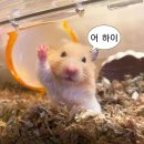 뮤지컬 레드북 자첫 후기 옥주현 김성식 지현준 1층 8열 좌석 시야 md 주차 꿀팁
