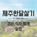 서진주유소 | 제주 한 달 살기 여행자의 경비, 식사, 빨래 꿀팁