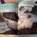 내야내야 똥강아지 이미지