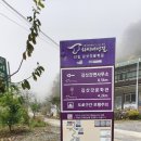 나조스트캠프 이미지