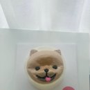 강아지잔칫집 이미지