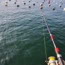 만선을 기원하며 2 이미지