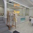 도치트리오